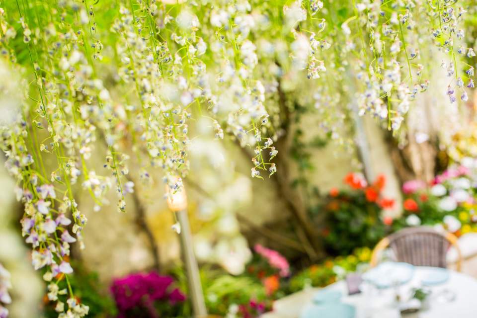 glycine et terrasse, Hôtel Restaurant Semblancay, La Mère Hamard